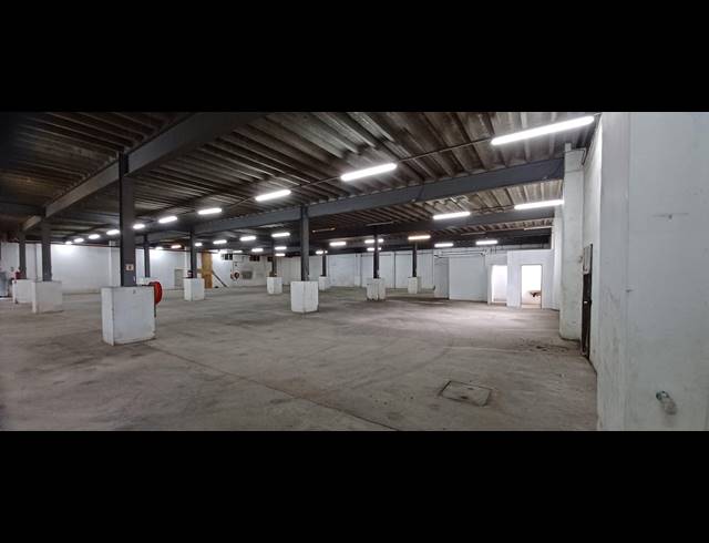 1,127M² WAREHOUSE TO LET IN NEW GERMANY